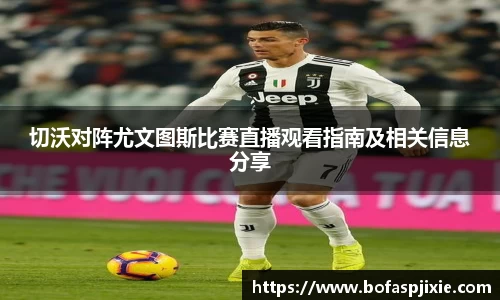 乐发Vll彩票官方