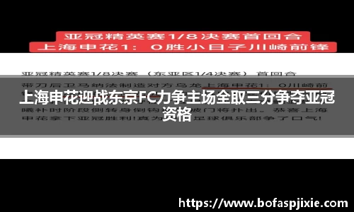 上海申花迎战东京FC力争主场全取三分争夺亚冠资格