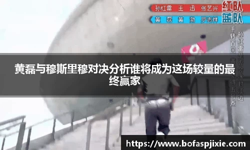 乐发Vll官网
