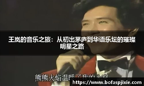 王岚的音乐之旅：从初出茅庐到华语乐坛的璀璨明星之路