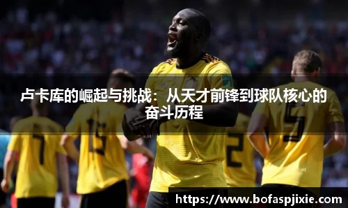 乐发Vll彩票官方